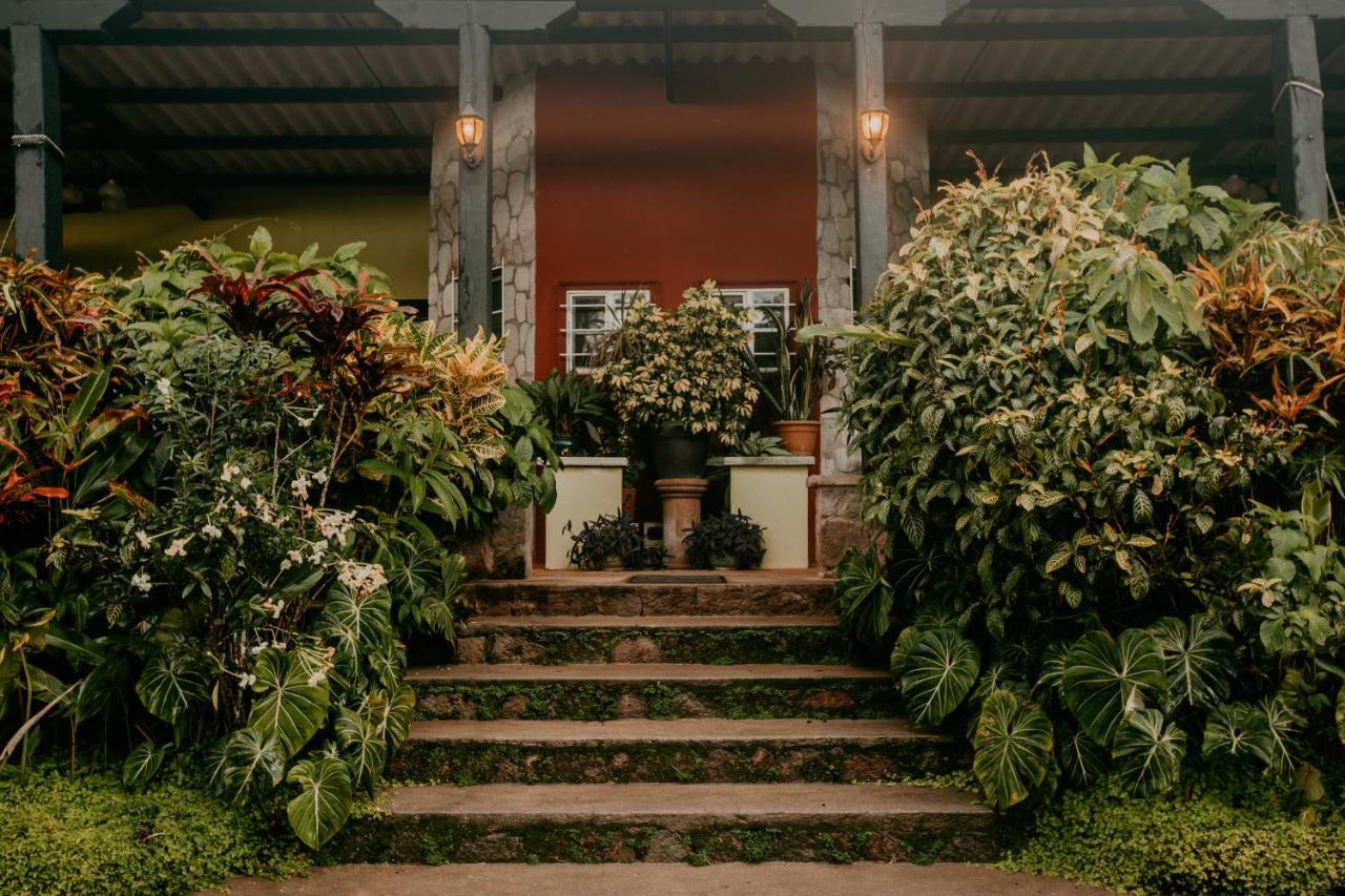 The Golden Frog Inn El Valle de Anton Exterior foto