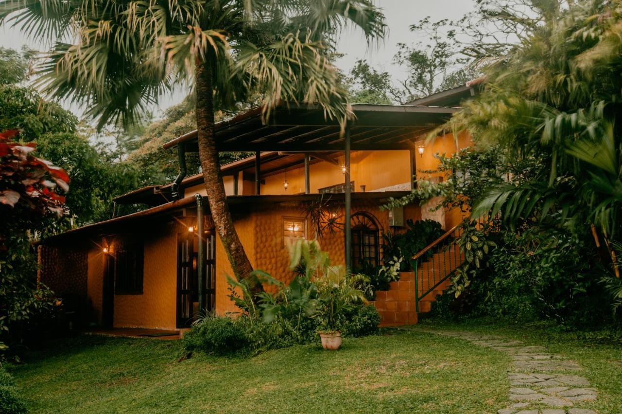 The Golden Frog Inn El Valle de Anton Exterior foto