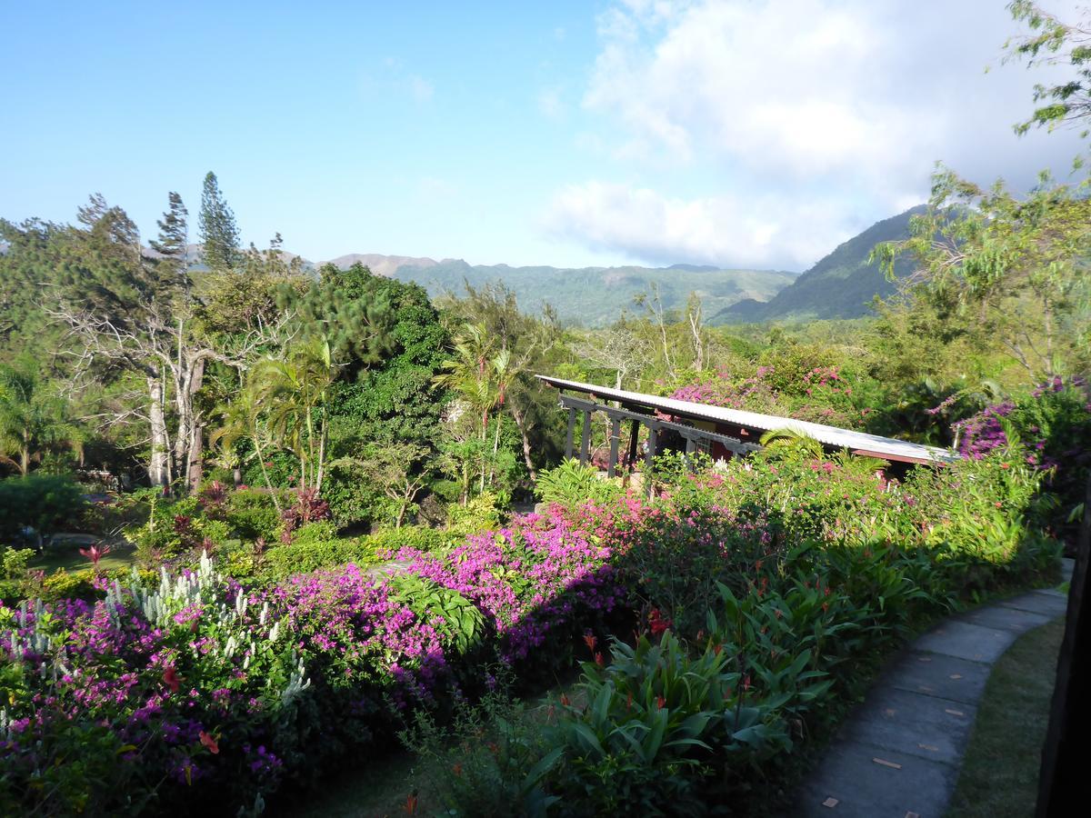 The Golden Frog Inn El Valle de Anton Exterior foto