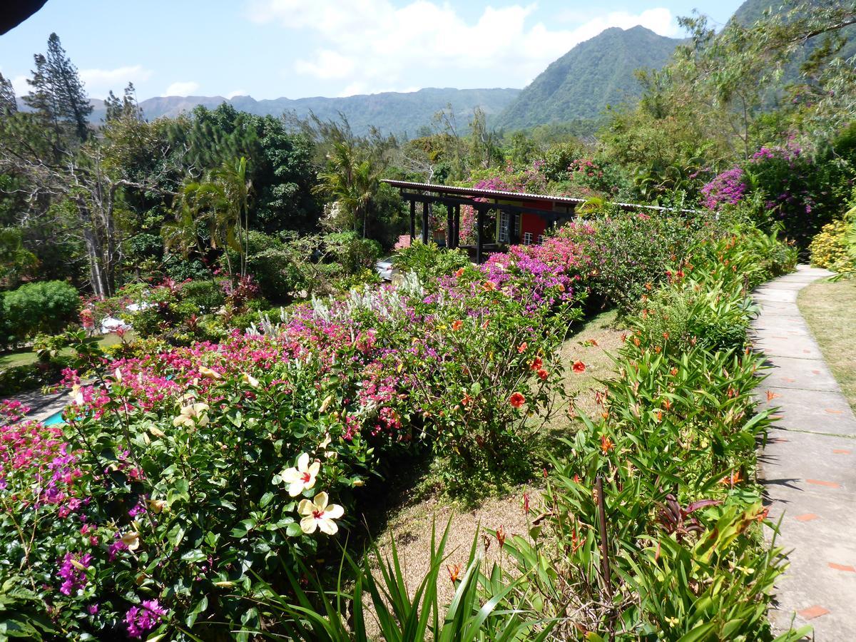 The Golden Frog Inn El Valle de Anton Exterior foto