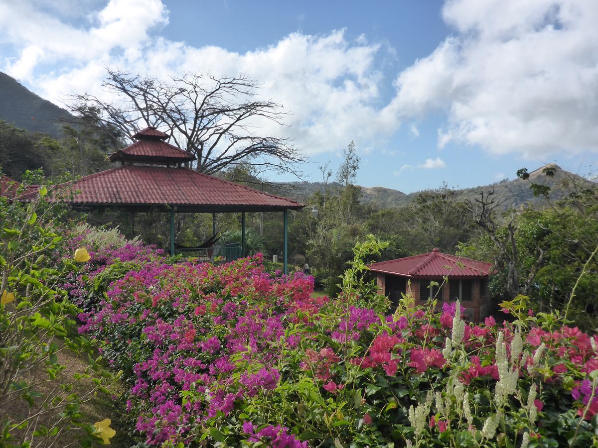 The Golden Frog Inn El Valle de Anton Exterior foto